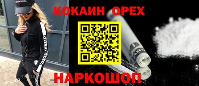 СК Гатчина