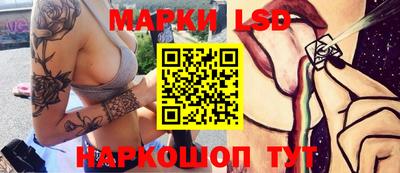индика Гай