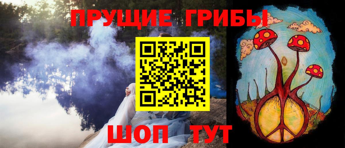 наркотики  Вход с VPN  Назарово  Галлюциногенные грибы Psilocybe 